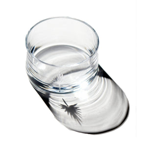 Wine Coaster Palm