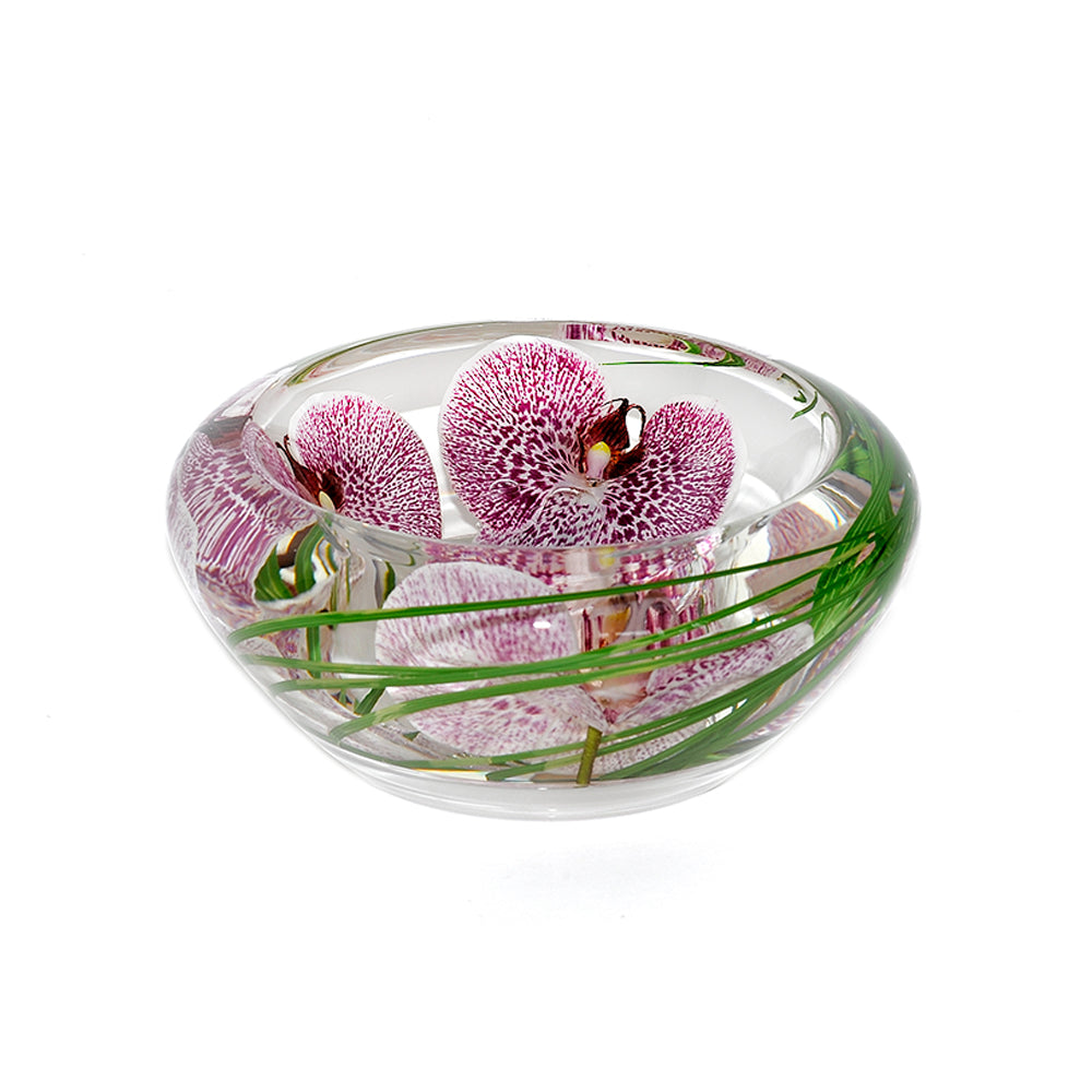 Spotted Phalaenopsis Flower Bowl, Small