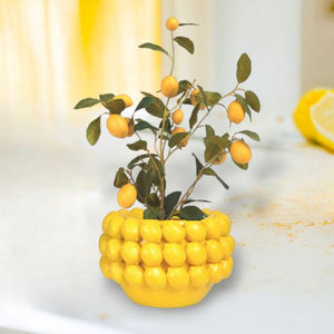 Lemon Planter