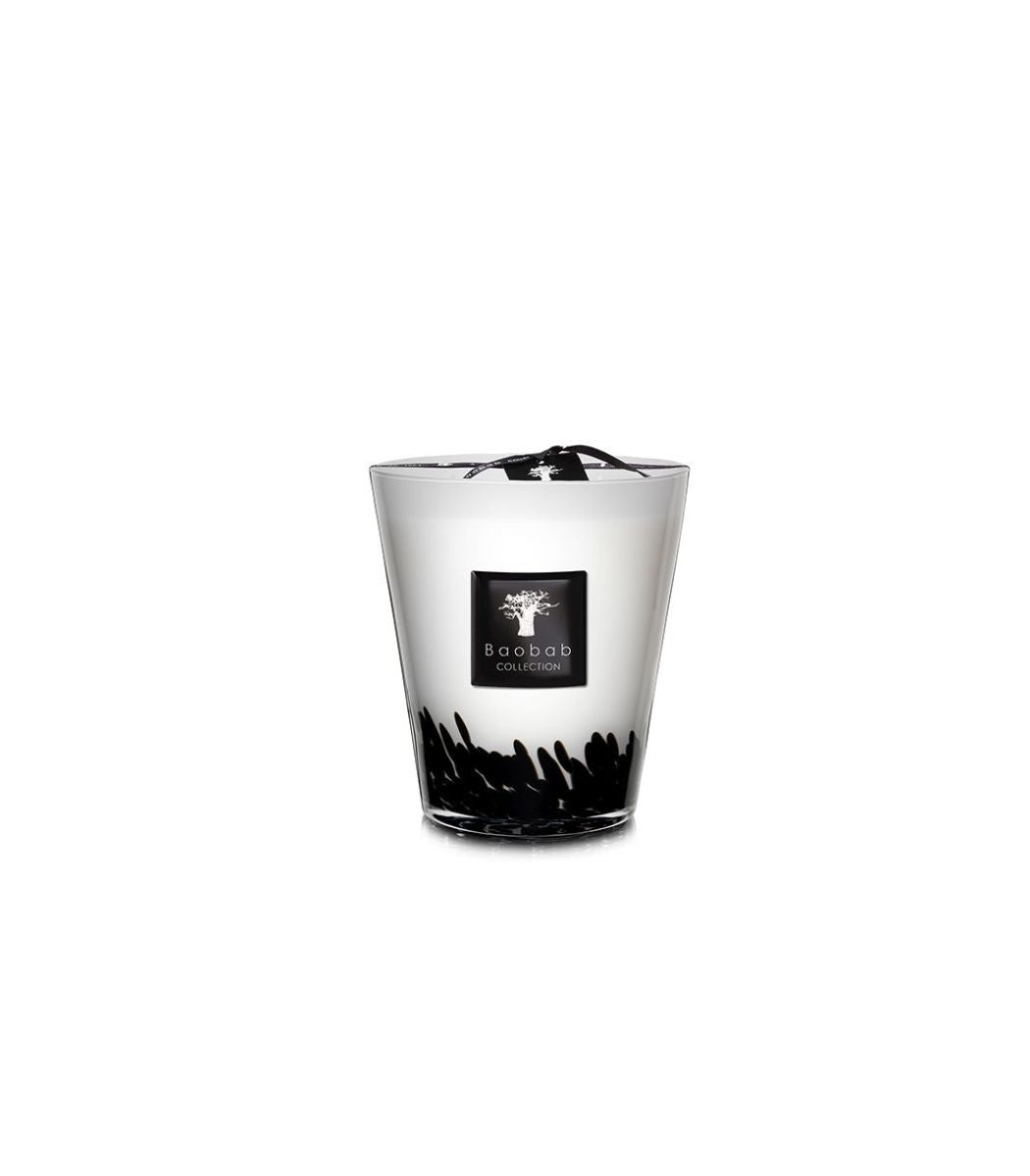 Baobab Candle, Feathers Max16