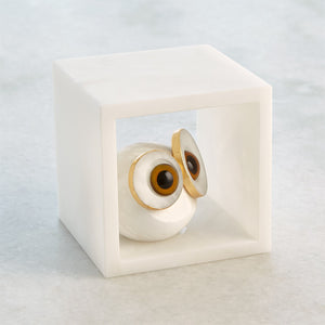 Alabaster Big Eyed Owl in Cube- Sm