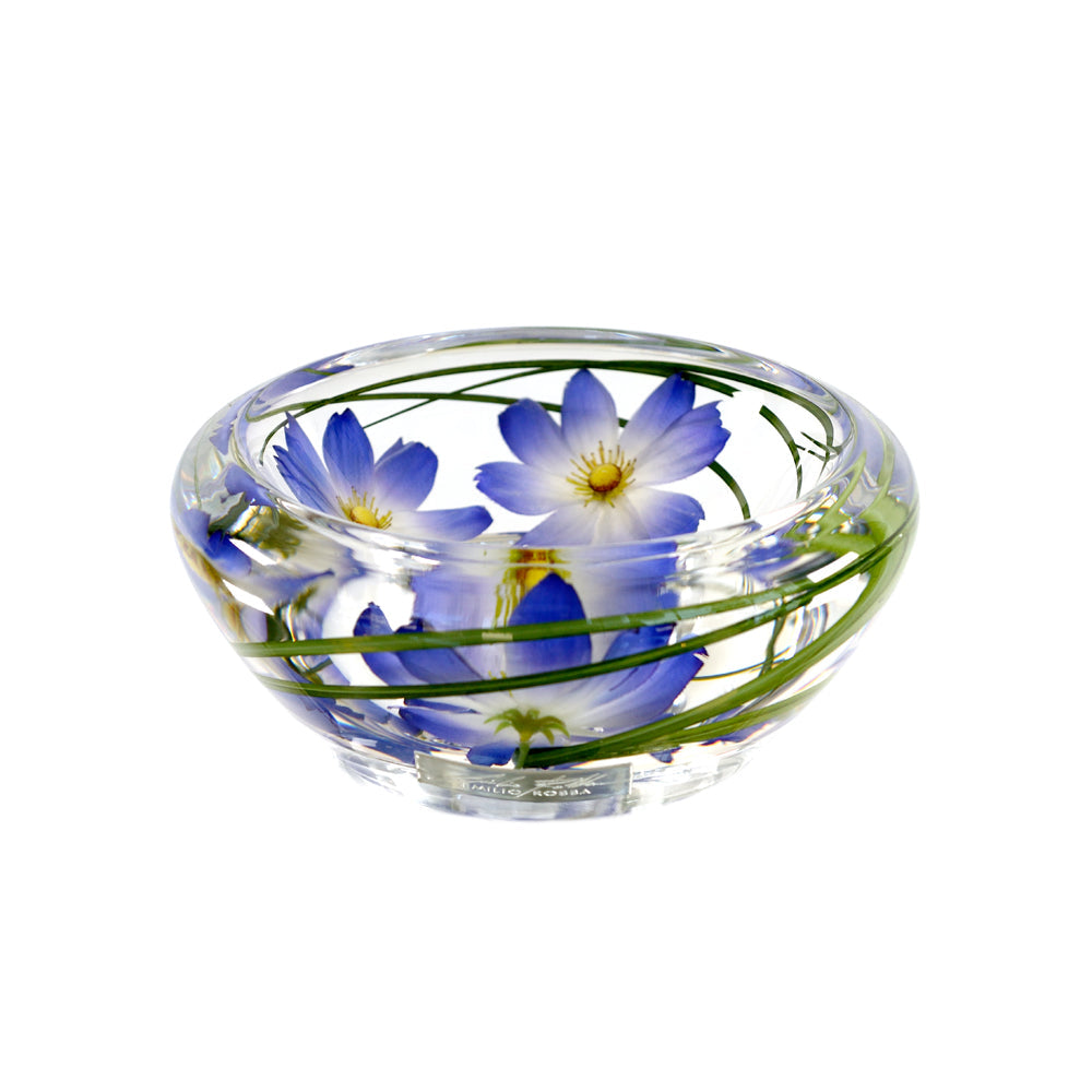 Light Blue Cosmos Flower Bowl, Medium