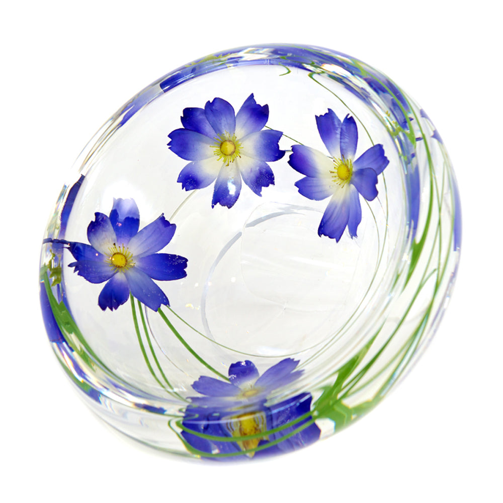 Light Blue Cosmos Flower Bowl, Large