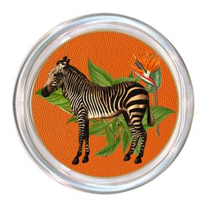 Zebra African Obsession on Orange Coaster