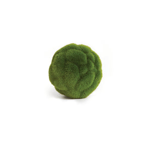 4" Mood Moss Orb