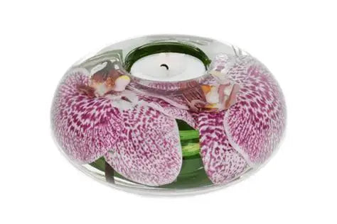 Spotted Phalaenopsis T-Light Holder