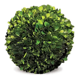 Boxwood Ball 10"