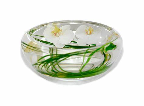 White Phalaenopsis Flower Bowl, Medium