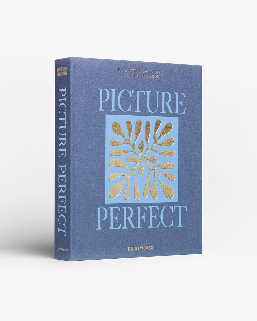 Picture Perfect Blue Photo Album
