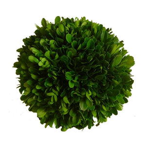 Boxwood Ball 4"