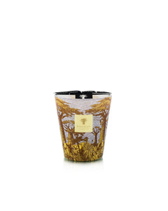 Baobab Candle Sacred Trees Cocody (Max16)