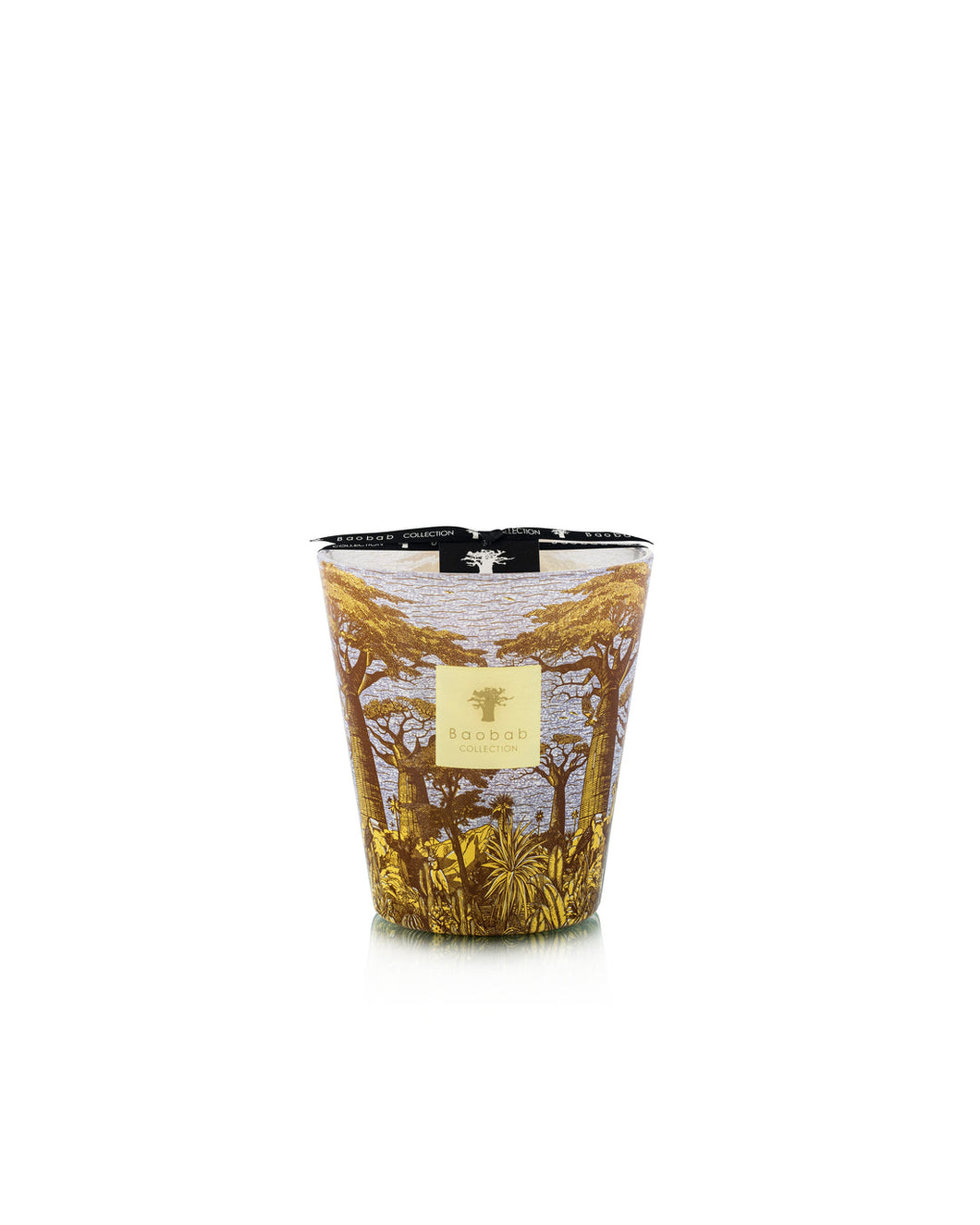 Baobab Candle Sacred Trees Cocody (Max16)