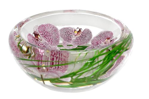 Spotted Phalaenopsis Flower Bowl, Medium