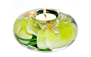 Green Phalaenopsis T-Light Disk